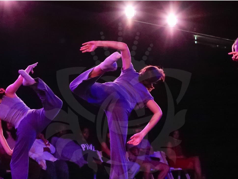 Performance 2